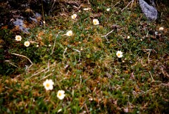 1978_CEH6008_F017
