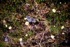 1978_CEH6009_F018