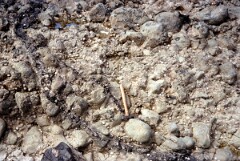 1980_CEH6755_H024