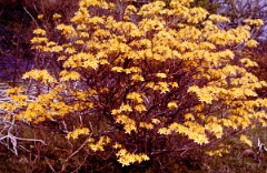 1984_CEH6085_F092