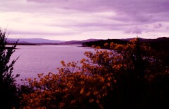 1984_CEH6087_F094