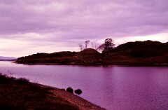 1984_CEH6088_F095