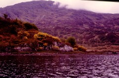 1984_CEH6089_F096