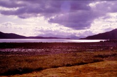 1984_CEH6090_F097