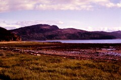 1984_CEH6091_F098