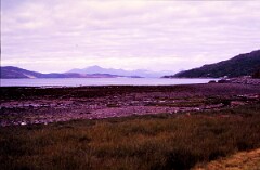 1984_CEH6094_F101