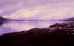 1984_CEH6095_F102