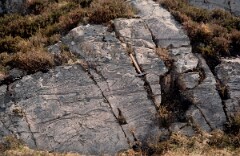 1984_CEH6102_F108