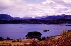 1984_CEH6109_F115