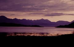 1984_CEH6110_F116