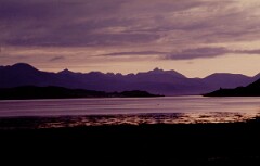 1984_CEH6111_F117