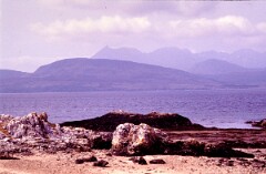 1984_CEH6115_F121