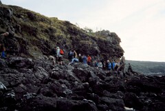 1984_CEH6117_F123