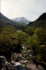 1984_CEH6119_F125