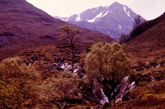 1984_CEH6120_F126