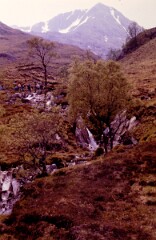 1984_CEH6121_F127