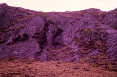 1984_CEH6123_F129