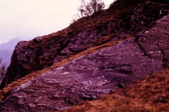 1984_CEH6128_F134