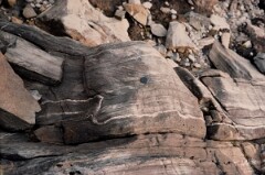 1984_CEH6132_F138