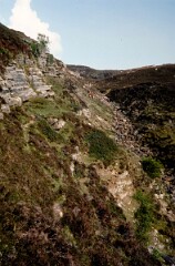 1984_CEH6139_F145