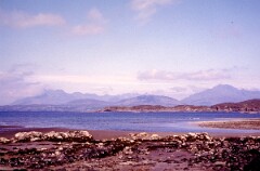 1984_CEH6148_F154