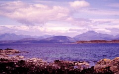 1984_CEH6150_F156