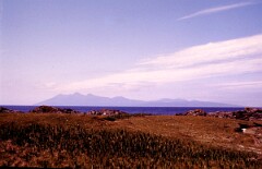 1984_CEH6153_F159