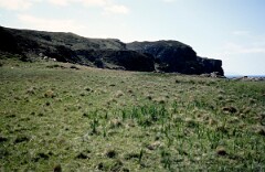 1984_CEH6155_F161