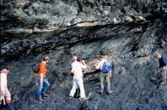 1984_CEH6161_F167