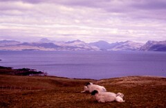 1984_CEH6167_F173