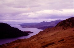 1984_CEH6171_F177