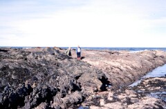 1979_CEH5338_D034