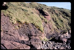 1979_CEH5340_D036