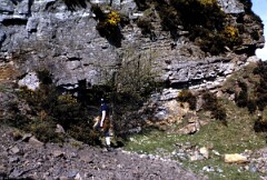 1975_CEH3659_A025