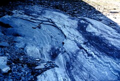 1989_CEH6341_F345