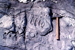 1989_CEH6342_F346
