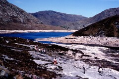 1989_CEH6343_F347