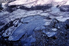 1989_CEH6344_F348