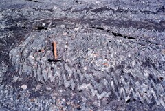 1989_CEH6345_F349