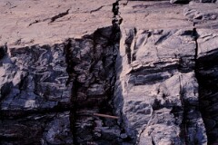 1989_CEH6347_F351