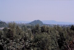 1989_CEH6350_F354