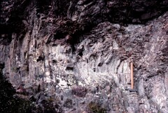 1989_CEH6353_F357