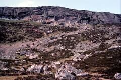 1989_CEH6356_F360