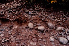 1989_CEH6361_F365