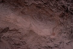 1989_CEH6362_F366