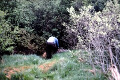 1989_CEH6363_F367