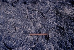 1989_CEH6364_F368