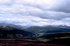 1989_CEH6365_F369