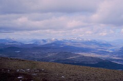 1989_CEH6367_F371