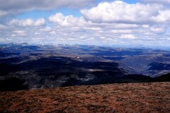 1989_CEH6370_F374